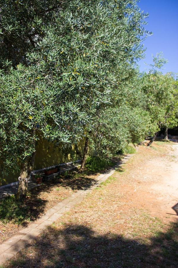 Bilini Garden Apartment Pula Luaran gambar